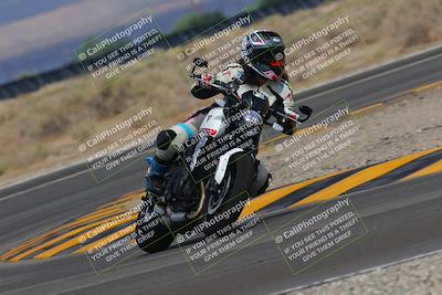 media/Sep-11-2022-SoCal Trackdays (Sun) [[81b7e951af]]/Turn 16 (945am)/